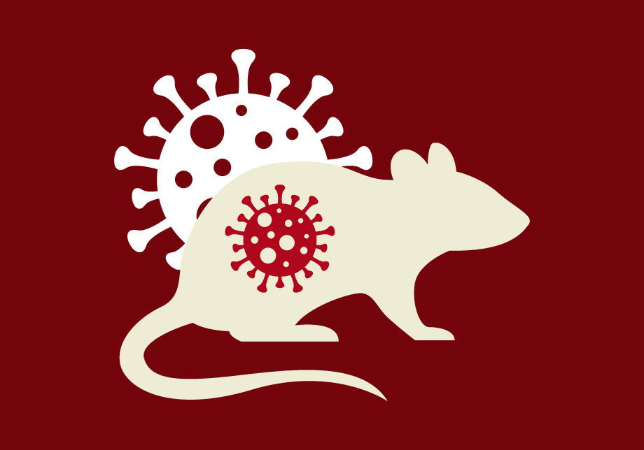 Rodent Droppings and Hantavirus Contamination Concerns in Northwest Arkansas