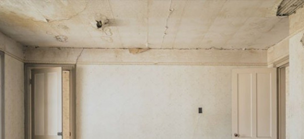 Mold Removal & Mold Remediation Services in North West Arkansas