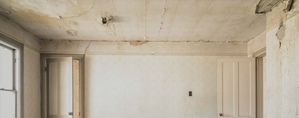 Mold Removal & Mold Remediation Services in North West Arkansas